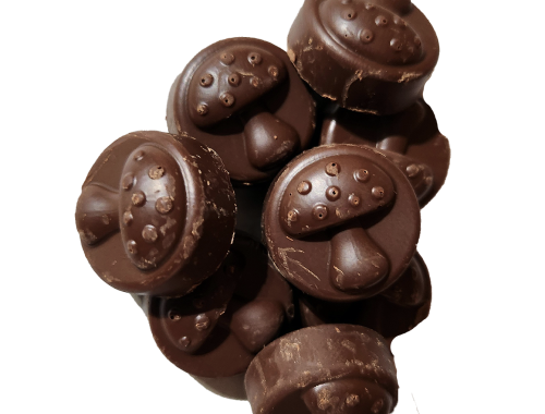 mushroom chocolate alice